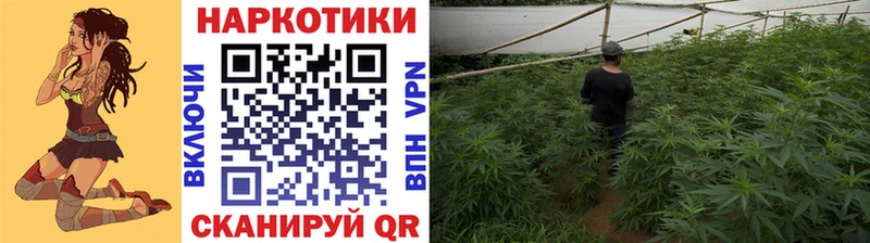 Наркота Снежинск Псилоцибиновые грибы  Канабис  Альфа ПВП 