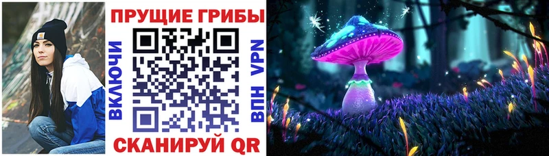 закладки  Снежинск  Псилоцибиновые грибы GOLDEN TEACHER 